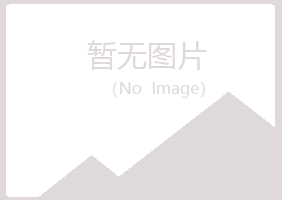 大连中山夏日咨询有限公司